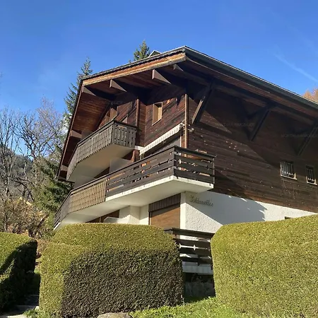 Le Grand-bornand, 2 Pièces, 6 Personnes - Fr-1-458-149 Appartement Le Grand-Bornand